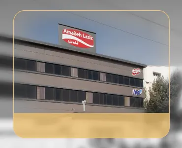 سرویس و نگهداری آسانسور کارخانه آماده لذیذ